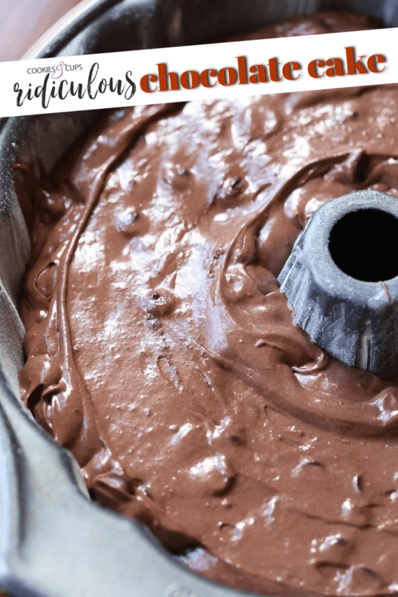 ridiculous chocolate cake pinterest image