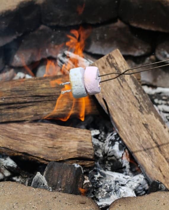 Krispie Treat S'mores