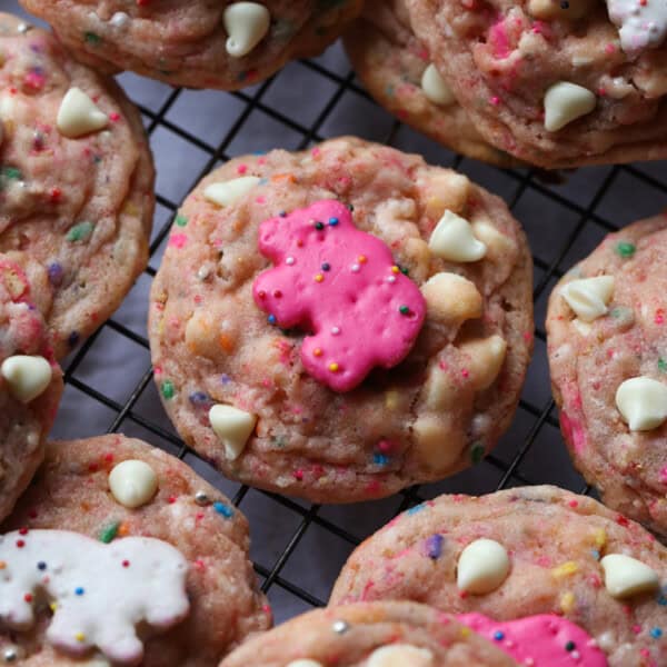 carnival cookies plush