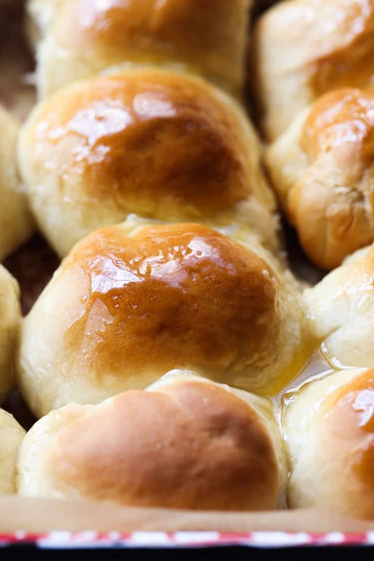 Dinner rolls brushed with honey butter in a baking pan.