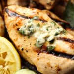 Honey Citrus Grilled Chicken topped with butter