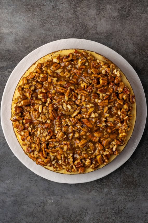 Overhead view of a finished pecan pie cheesecake on a white plate.