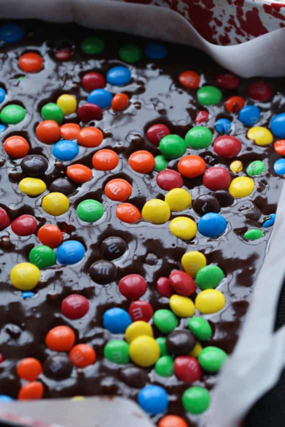 Thick and Fudgy M&M Brownies