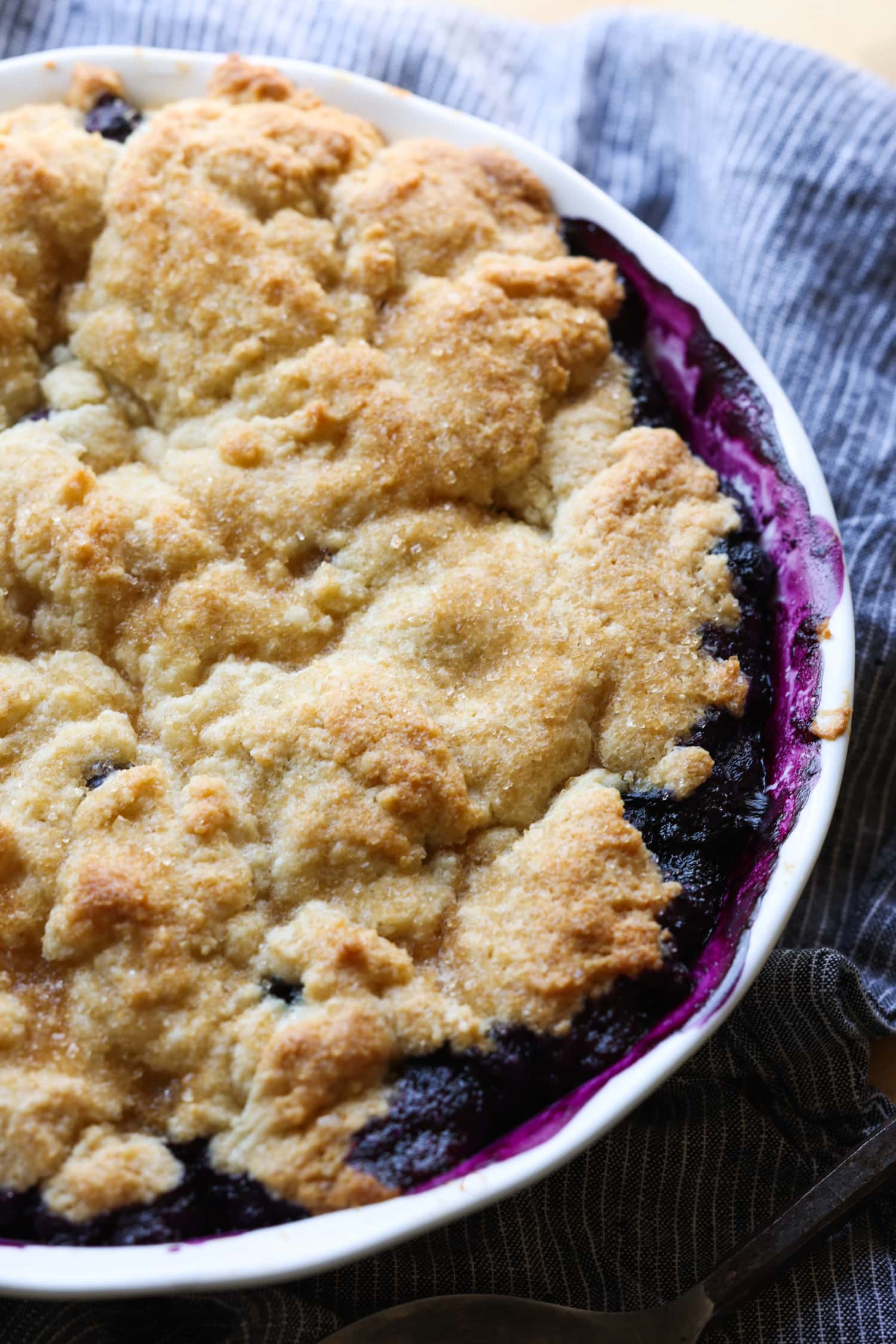 a blueberry cobbler in a white pie dish straight from the oven