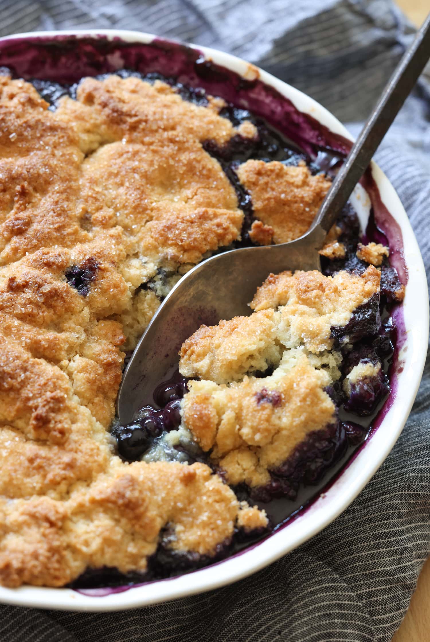 Blueberry Cobbler in a baking dish with a spoon scooping out a portion