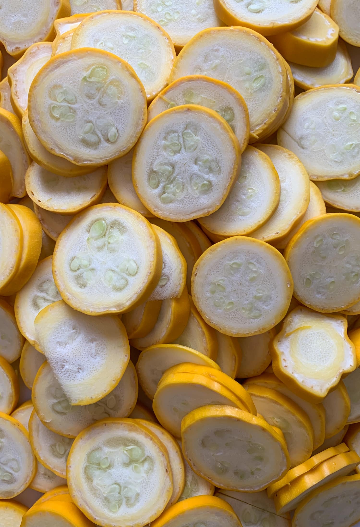 Assorted round yellow squash slices.