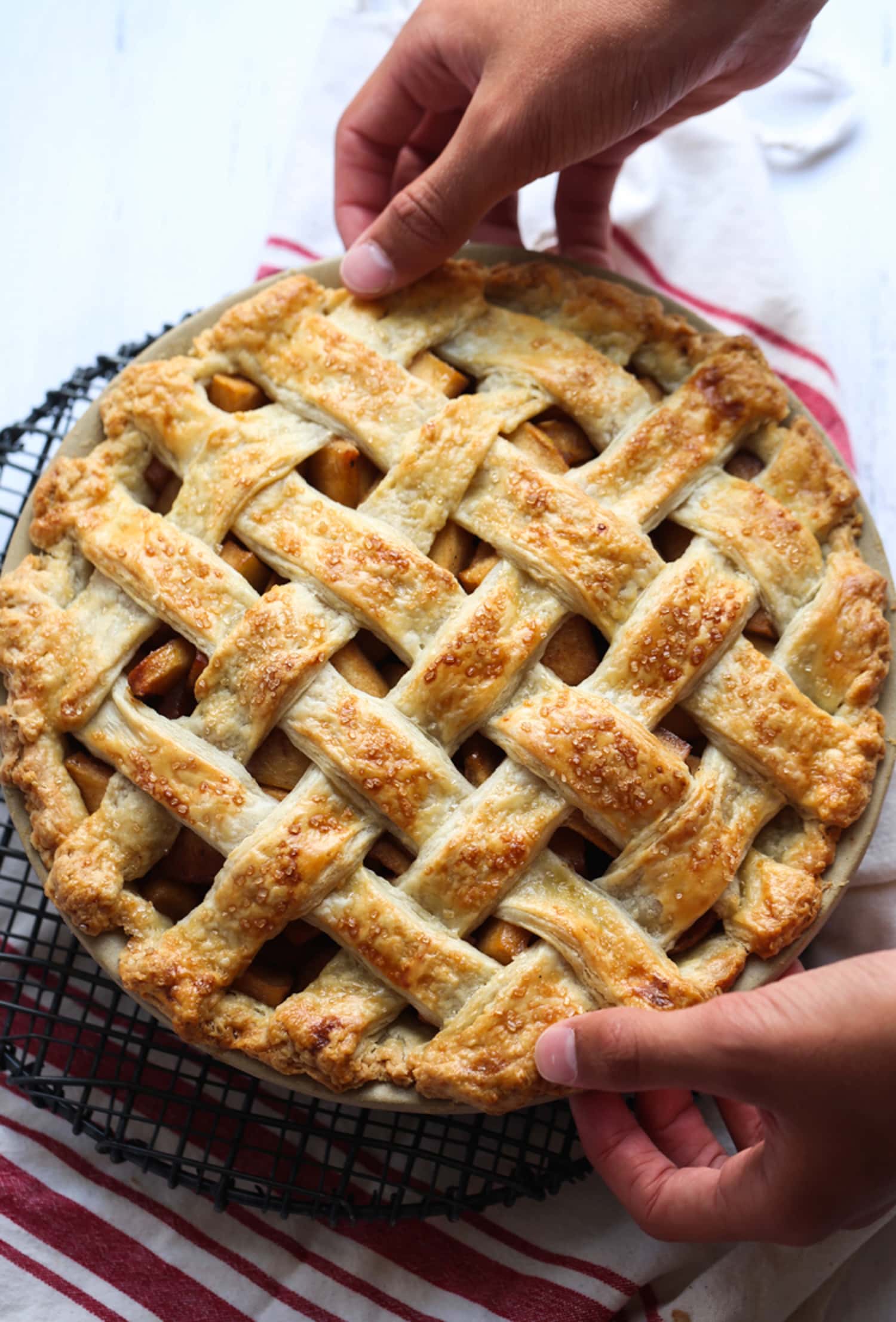 Overhead view of two hands setting down an baked apple pie with a lattice crust.