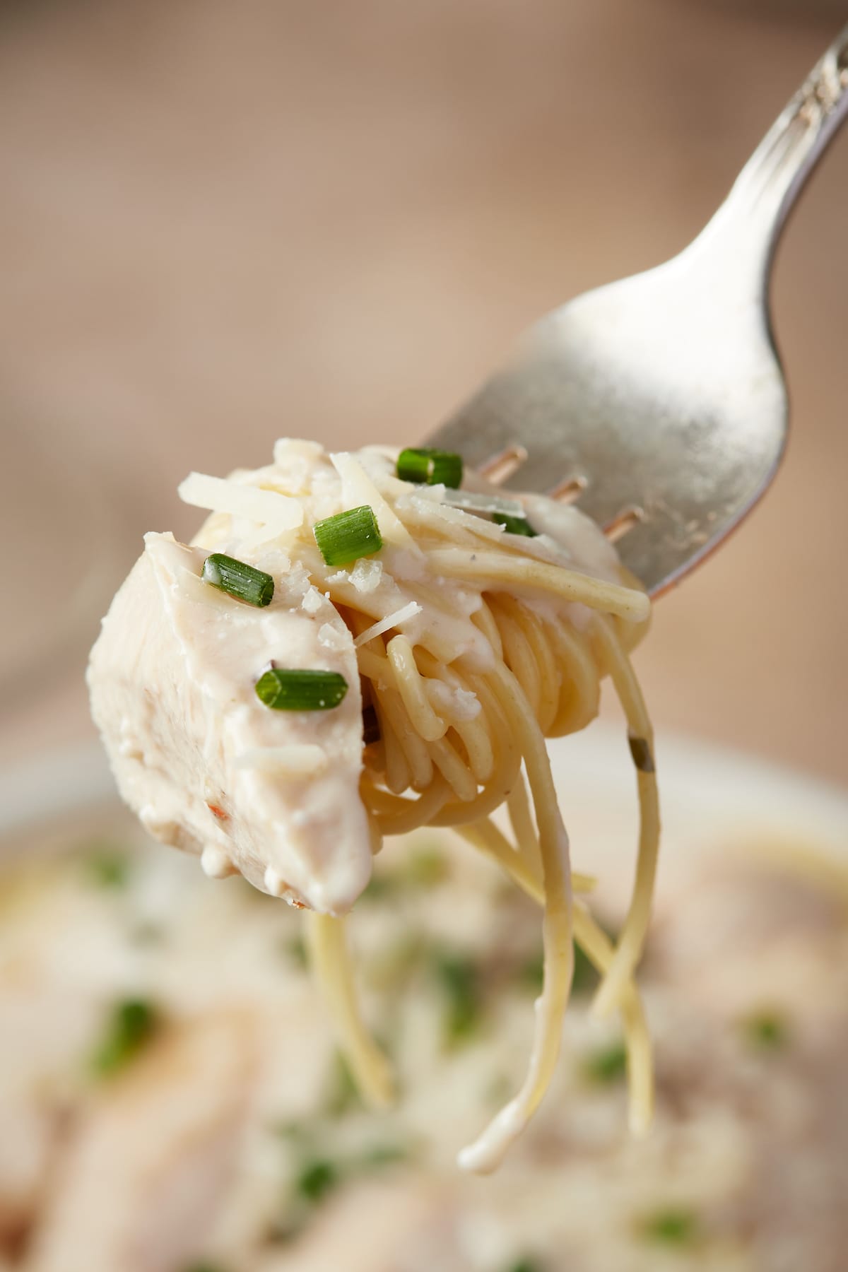 A forkful of creamy chicken pasta.