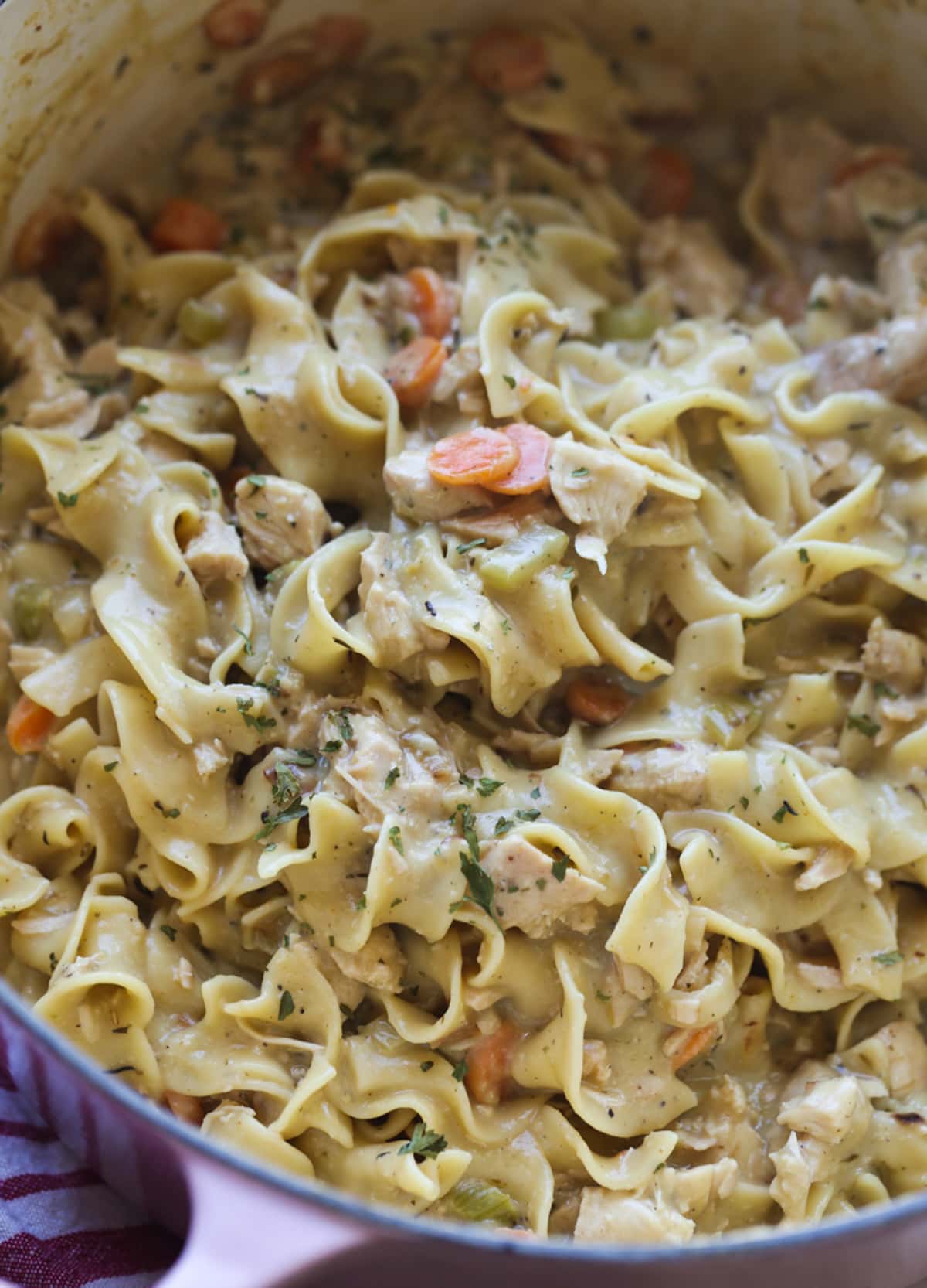 Egg noodles and chicken in a creamy sauce with carrots and seasoning