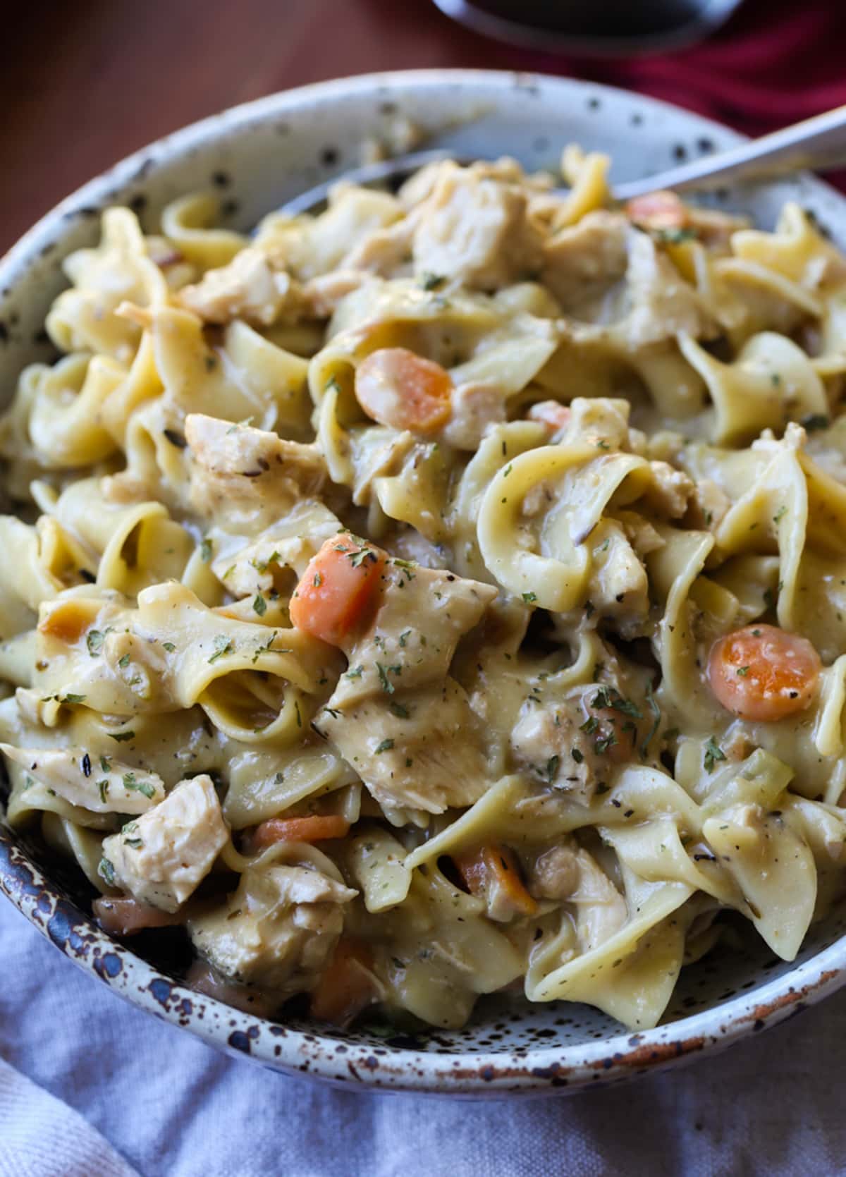 a bowl of chicken and egg noodles with a creamy sauce in a serving bowl