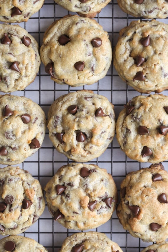 The BEST Walnut Chocolate Chip Cookies