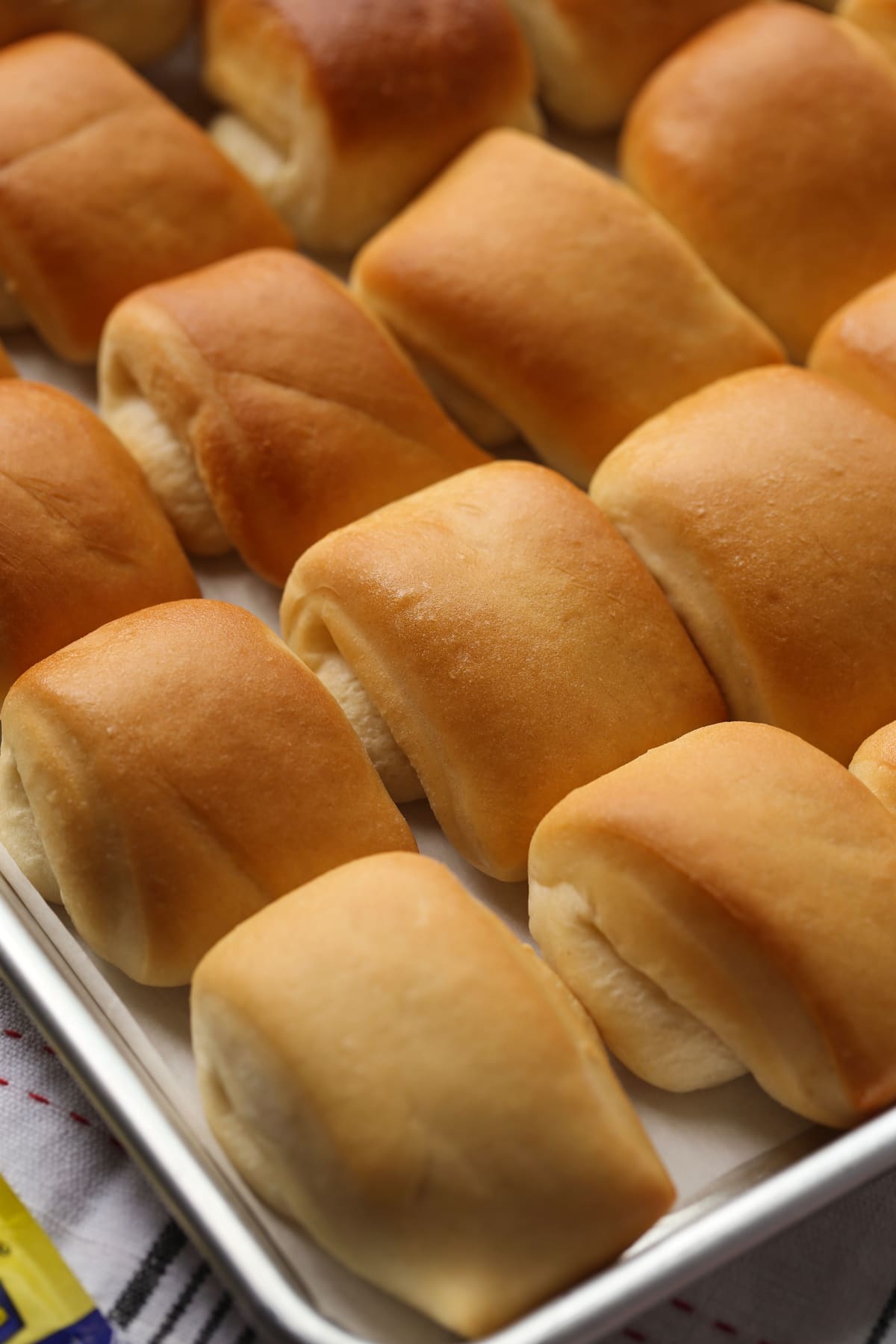 Rows of baked Parker House rolls on a baking sheet.