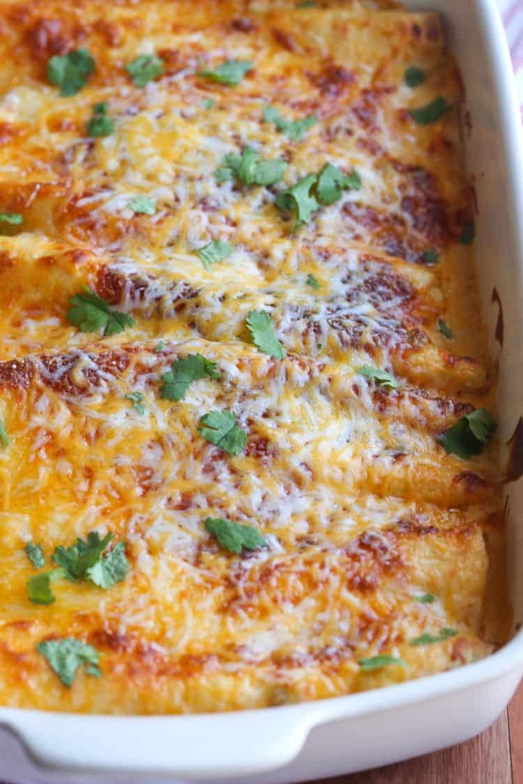 Sour Cream Chicken Enchiladas Baked in a 9x13 dish