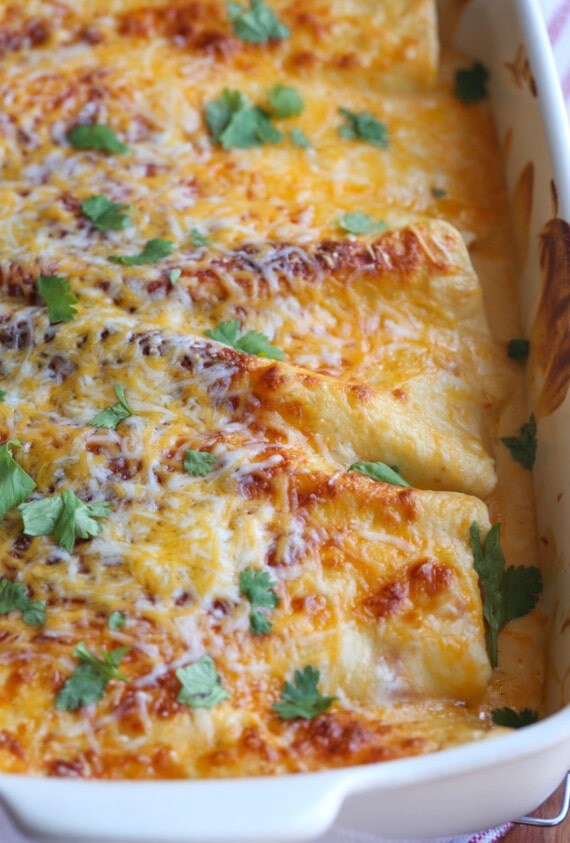 Sour Cream Chicken Enchiladas Recipe | Cookies & Cups