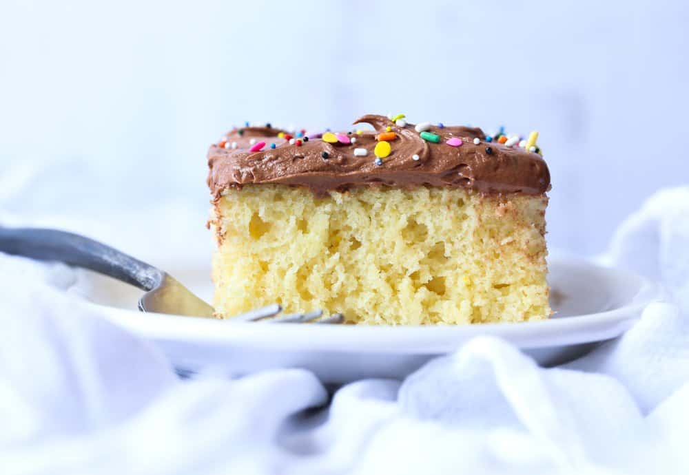 20 Best Homemade Cake Recipes To Celebrate Every Occasion