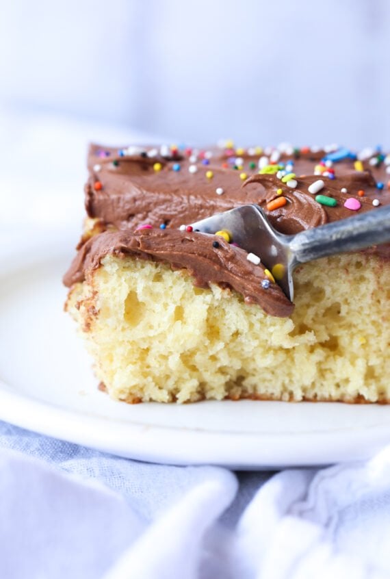 Homemade Cake Mix Recipe - Vanilla and Chocolate Variations! - BLOGPAPI