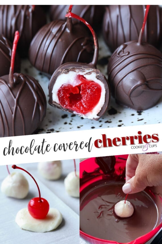 Chocolate Covered Cherries with the Stems Intact
