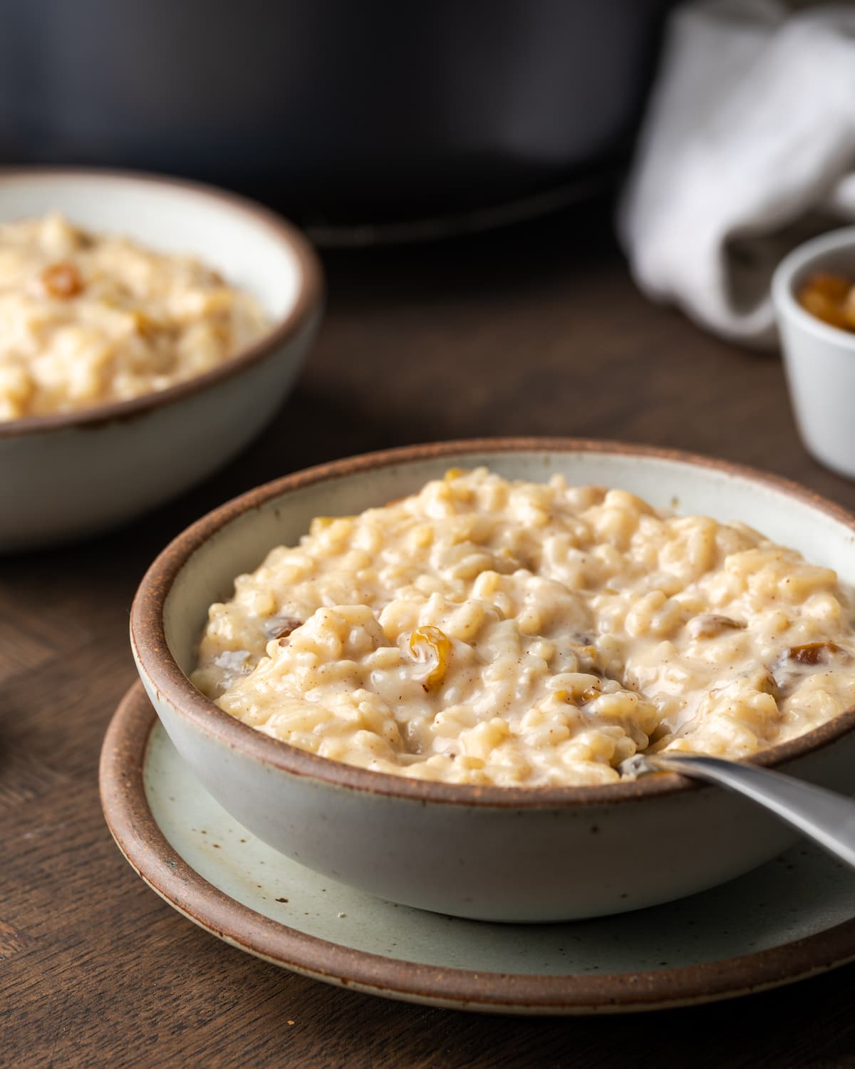 Side view of a bowl of creamy rice pudding with a spoon.