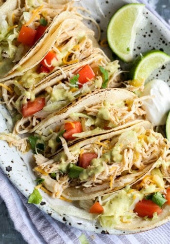 Beergarita chicken tacos on a plate with toppings