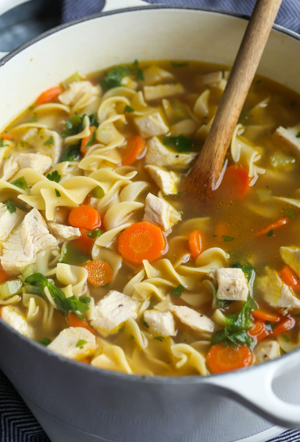 The Very Best Homemade Chicken Noodle Soup - BLOGPAPI