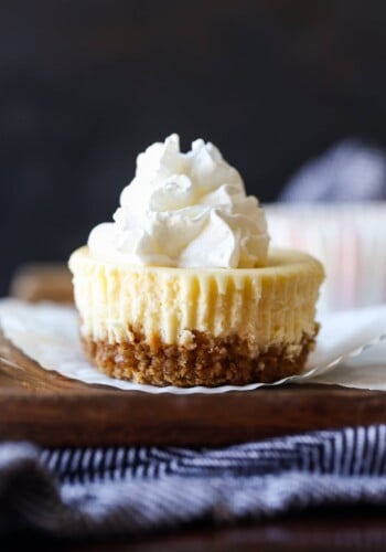 Mini cheesecake topped with whipped cream