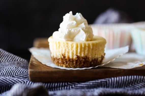 Mini cheesecake topped with whipped cream.