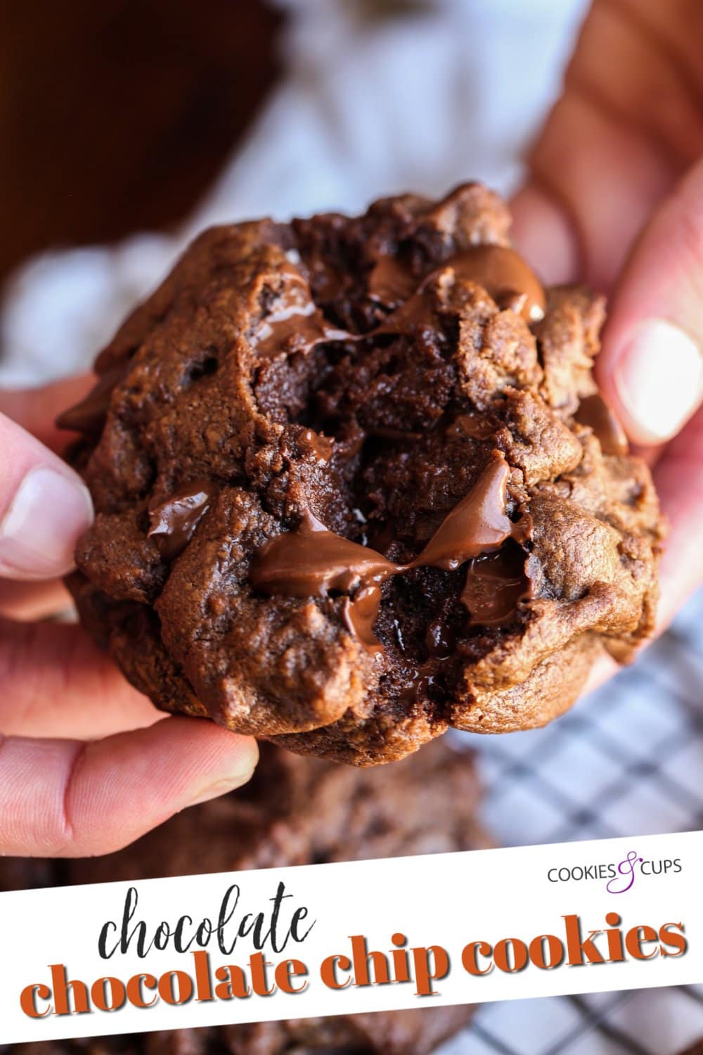 Chocolate Chocolate Chip Cookies Pinterest Image