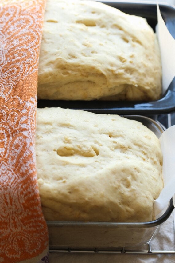 Two loaves of unbaked honey oat bread.