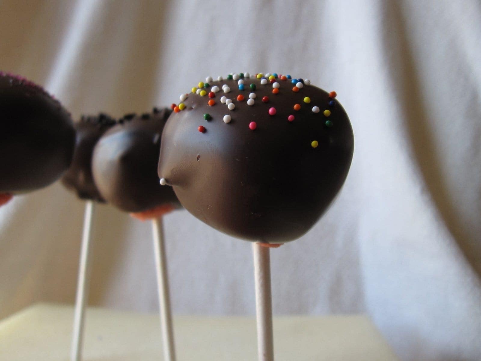 Four chocolate covered strawberry cake pops standing up with a white sheet behind them