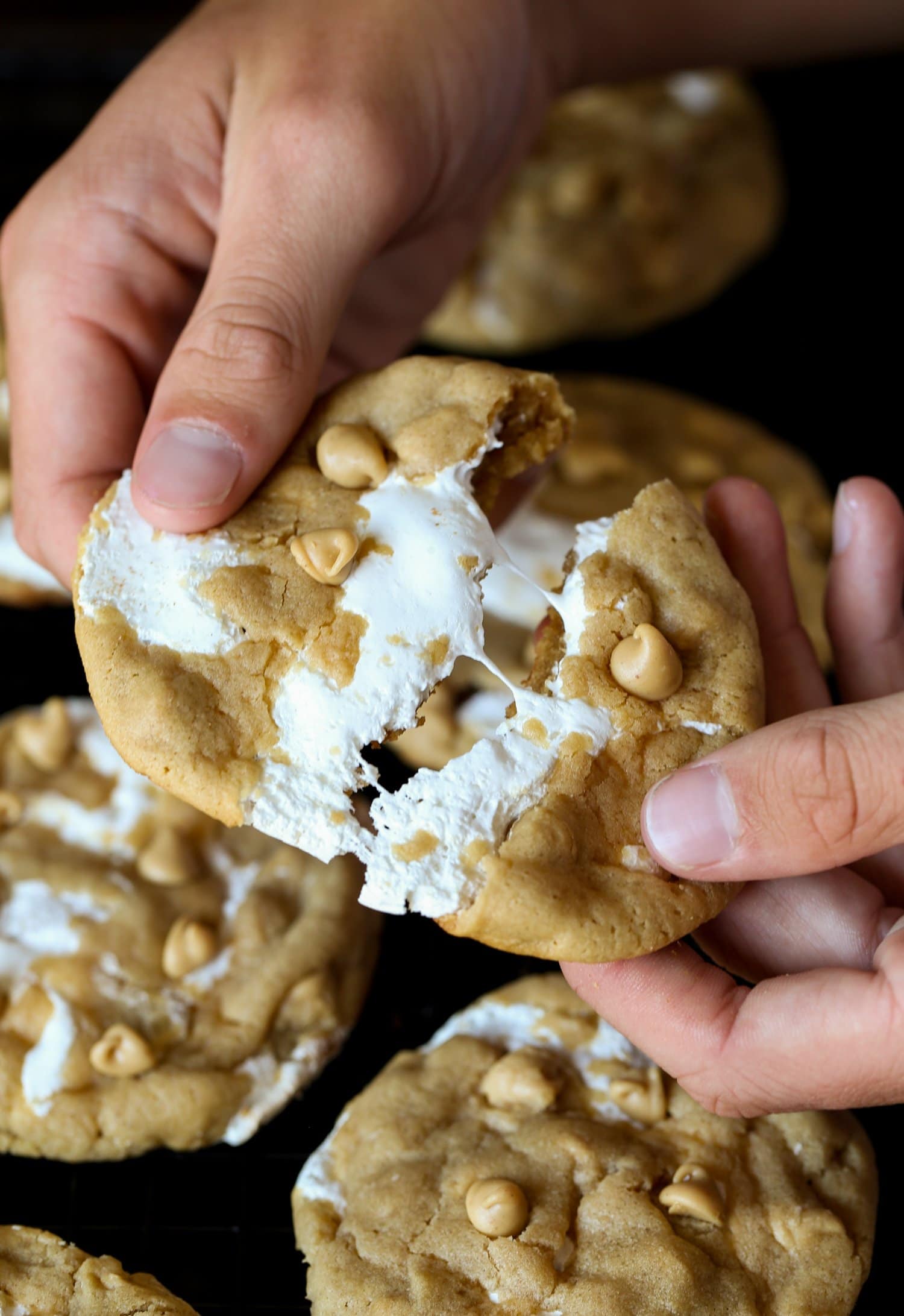 Breaking a peanut butter cookie in half that is stuffed with marshmallow fluff