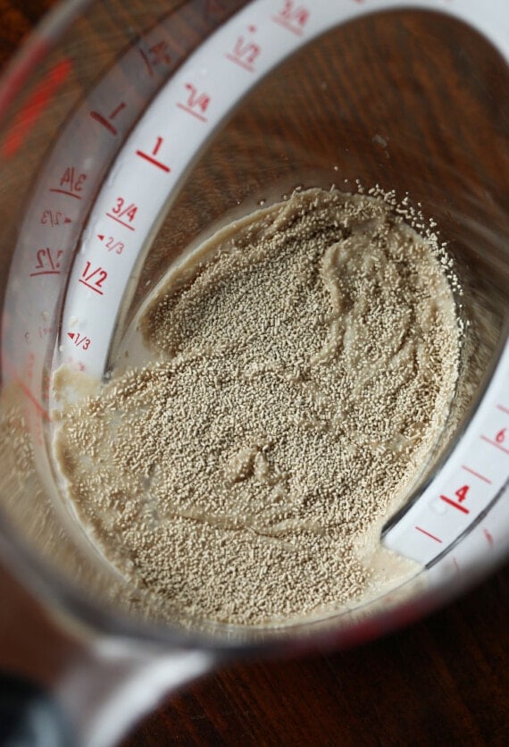 yeast dissolving in water in a measuring cup