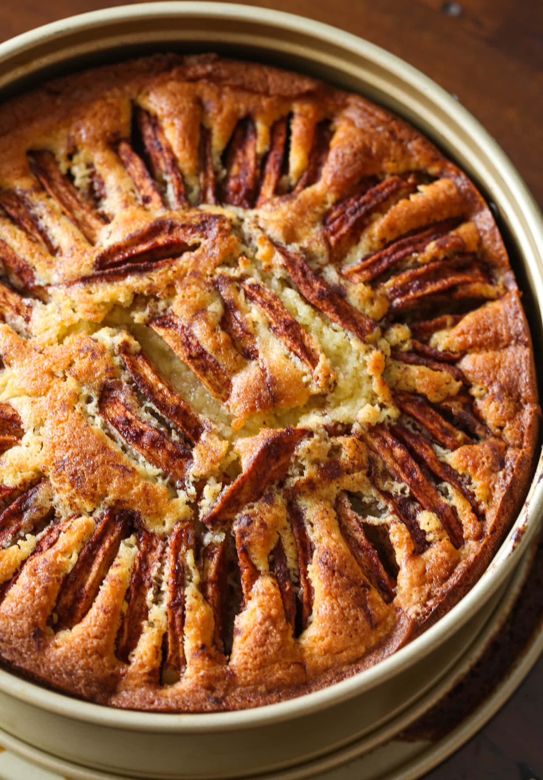 apple cake in a springform pan