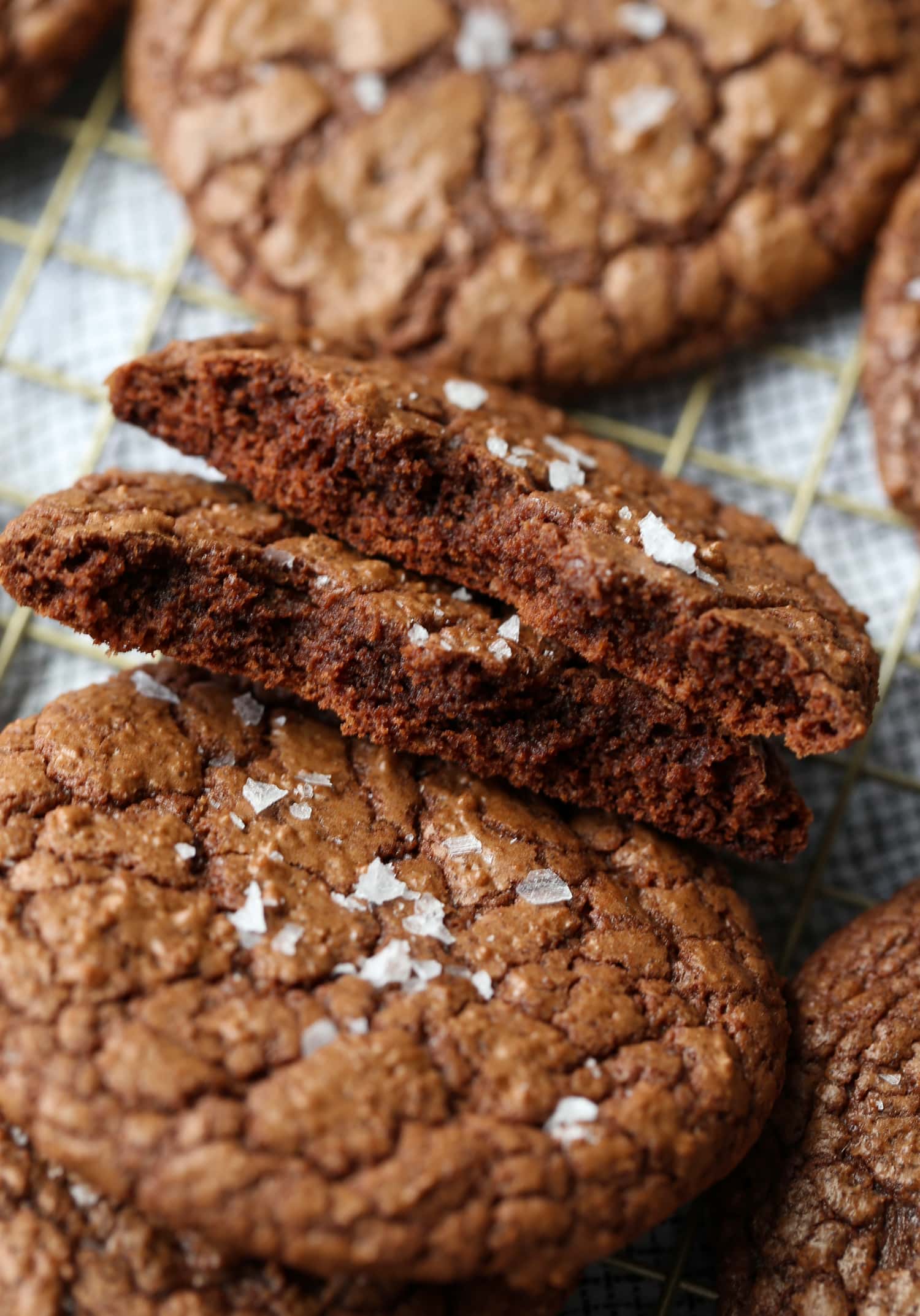 A chocolate crinkle cookie split in half to reveal the soft, chewy center.