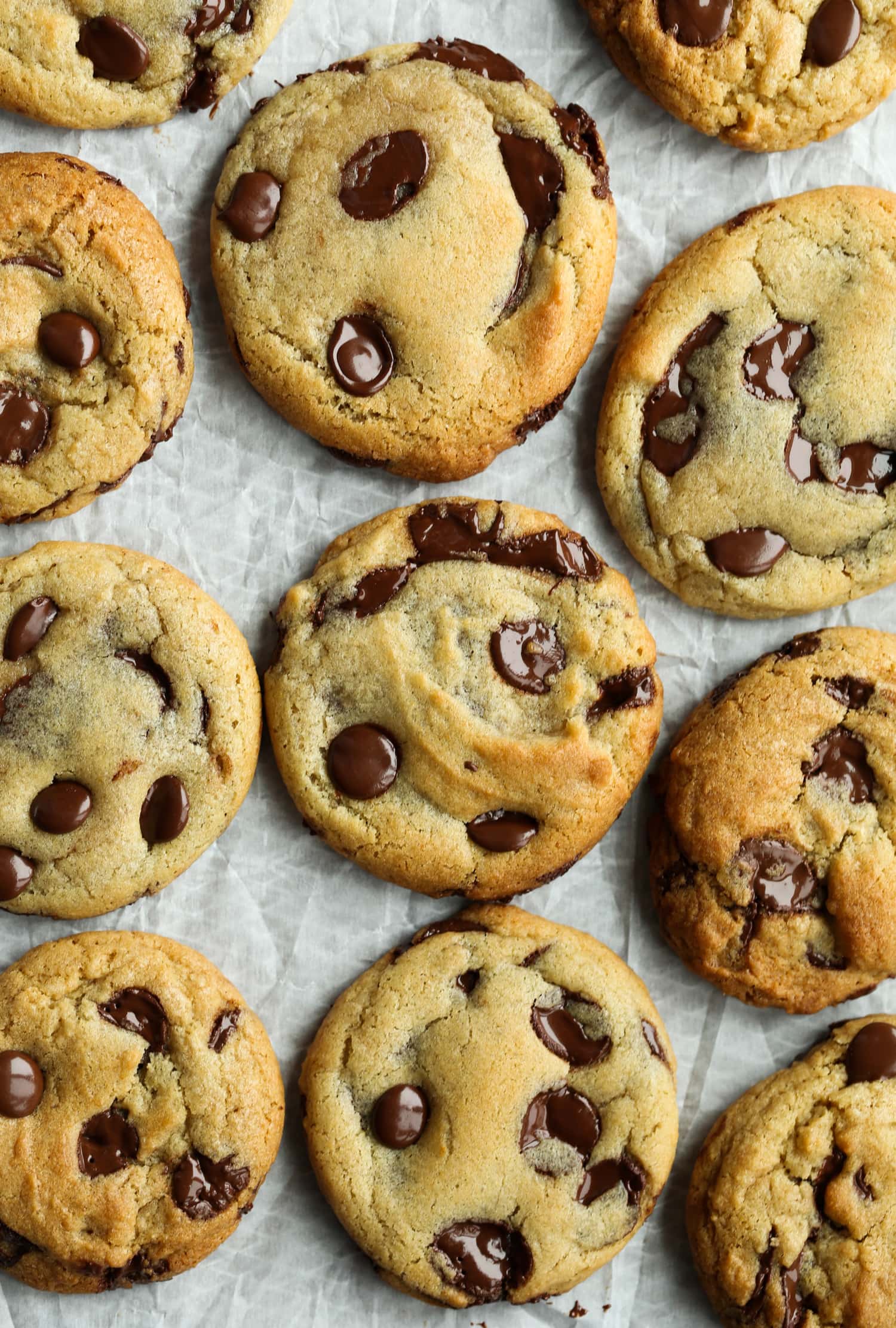 chocolate chip cookies on a baking rack