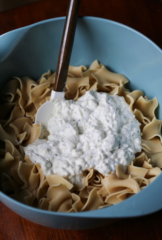 Cottage cheese mixture is added to egg noodles in a mixing bowl.