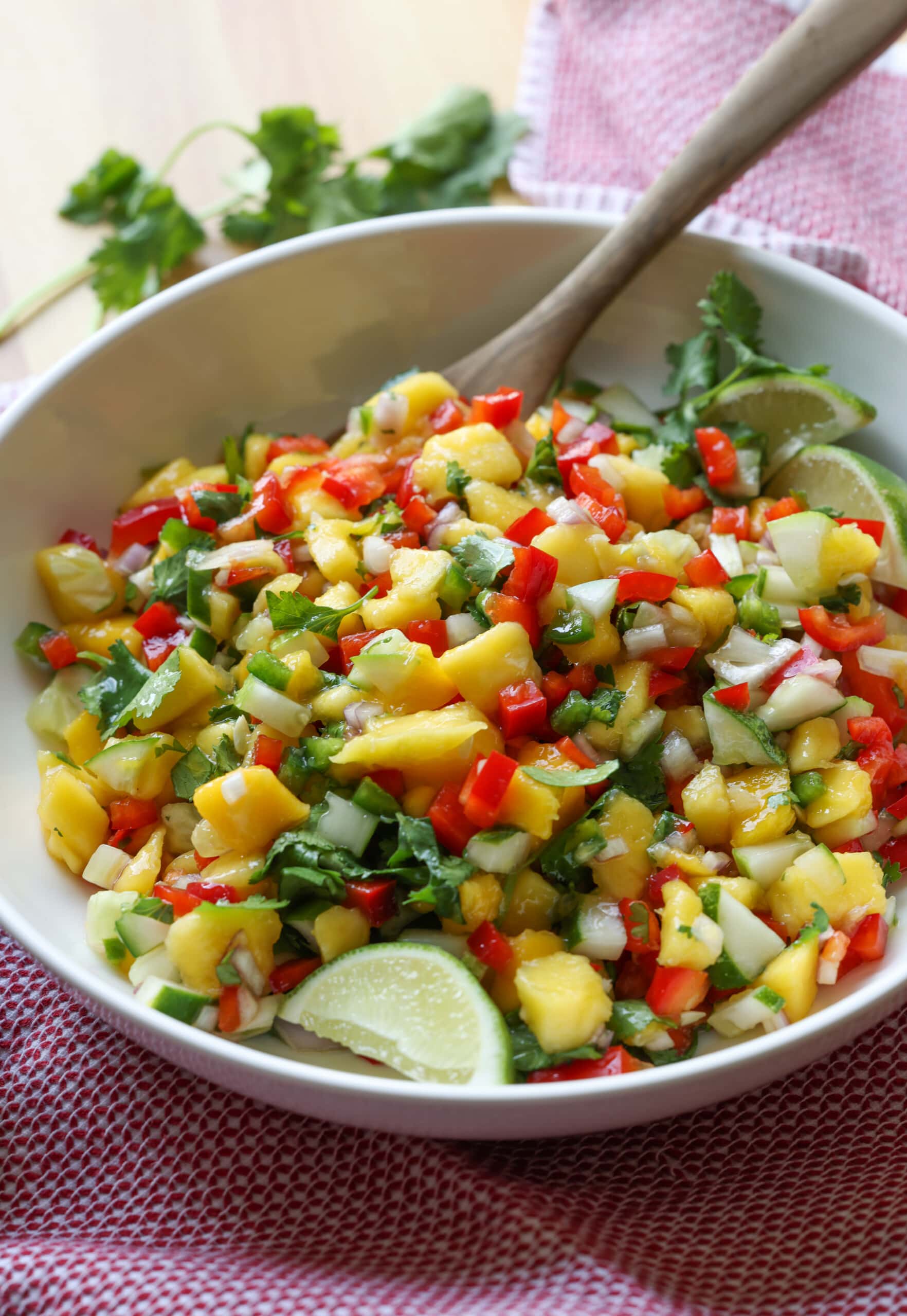 Mango Salsa in a bowl