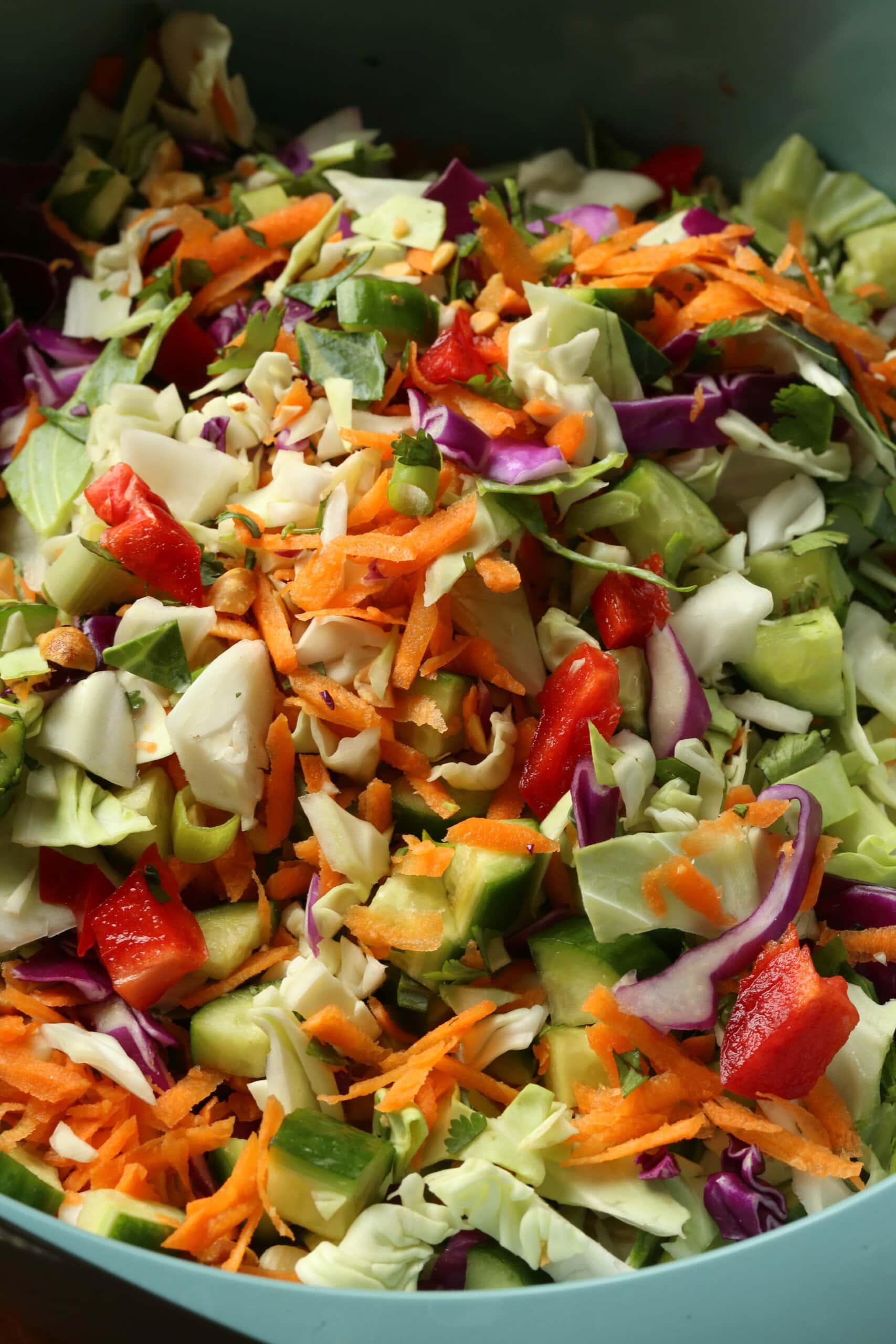 Tampilan dekat bahan salad Rainbow Crunch digabungkan dalam mangkuk.