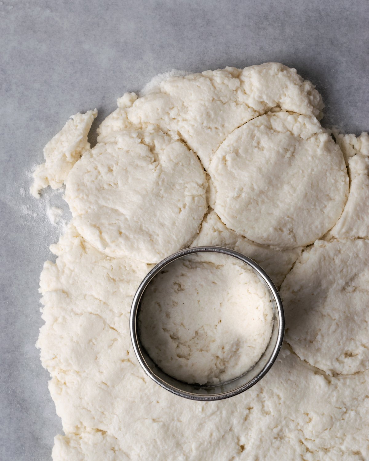 A biscuit cutter placed over flattened biscuit dough, with circles cut from the dough.