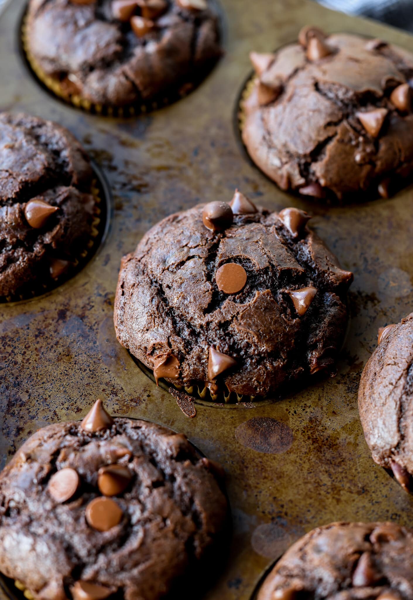 Perfectly Moist Chocolate Muffins - Cookies and Cups 