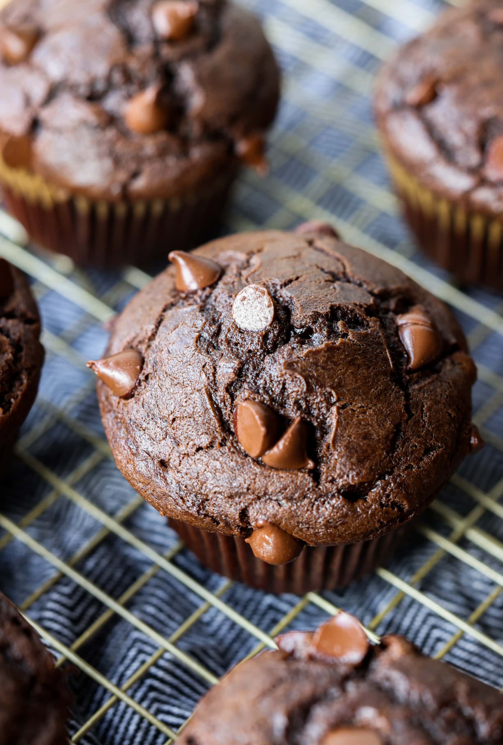 muffin al cioccolato su una gratella