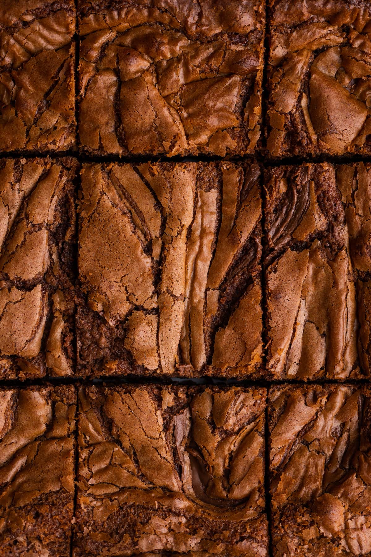 An overhead view of a Nutella brownie cut into squares.
