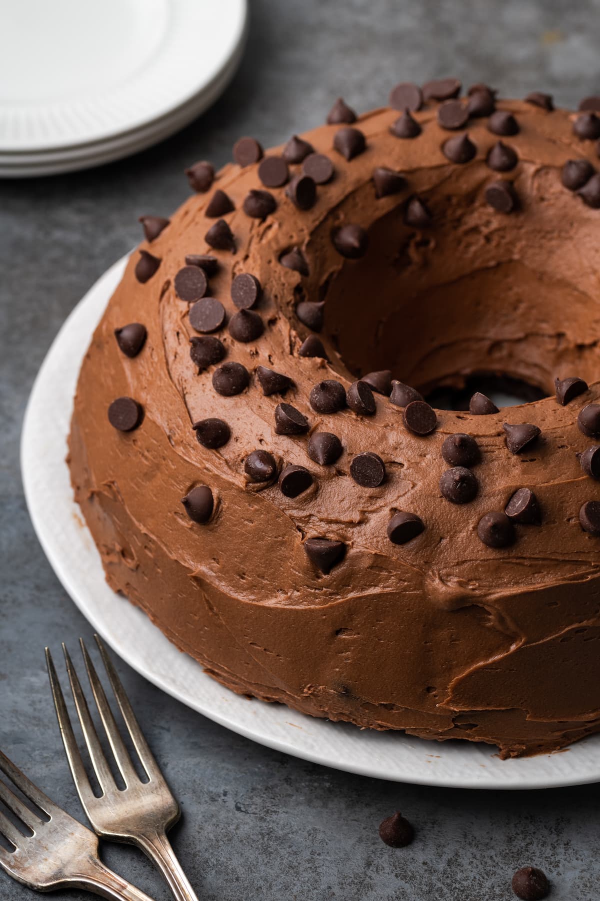 Ridiculous chocolate bundt cake on a plate frosted with chocolate frosting and topped with chocolate chips.