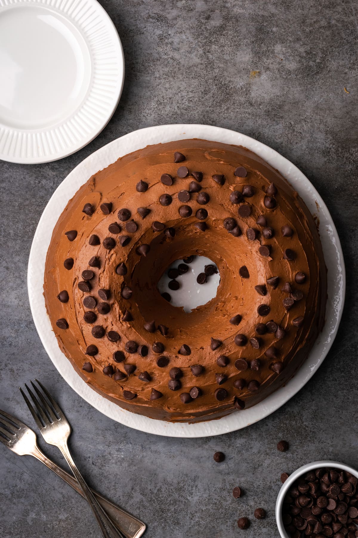 Overhead view of ridiculous chocolate bundt cake on a plate frosted with chocolate frosting and topped with chocolate chips.