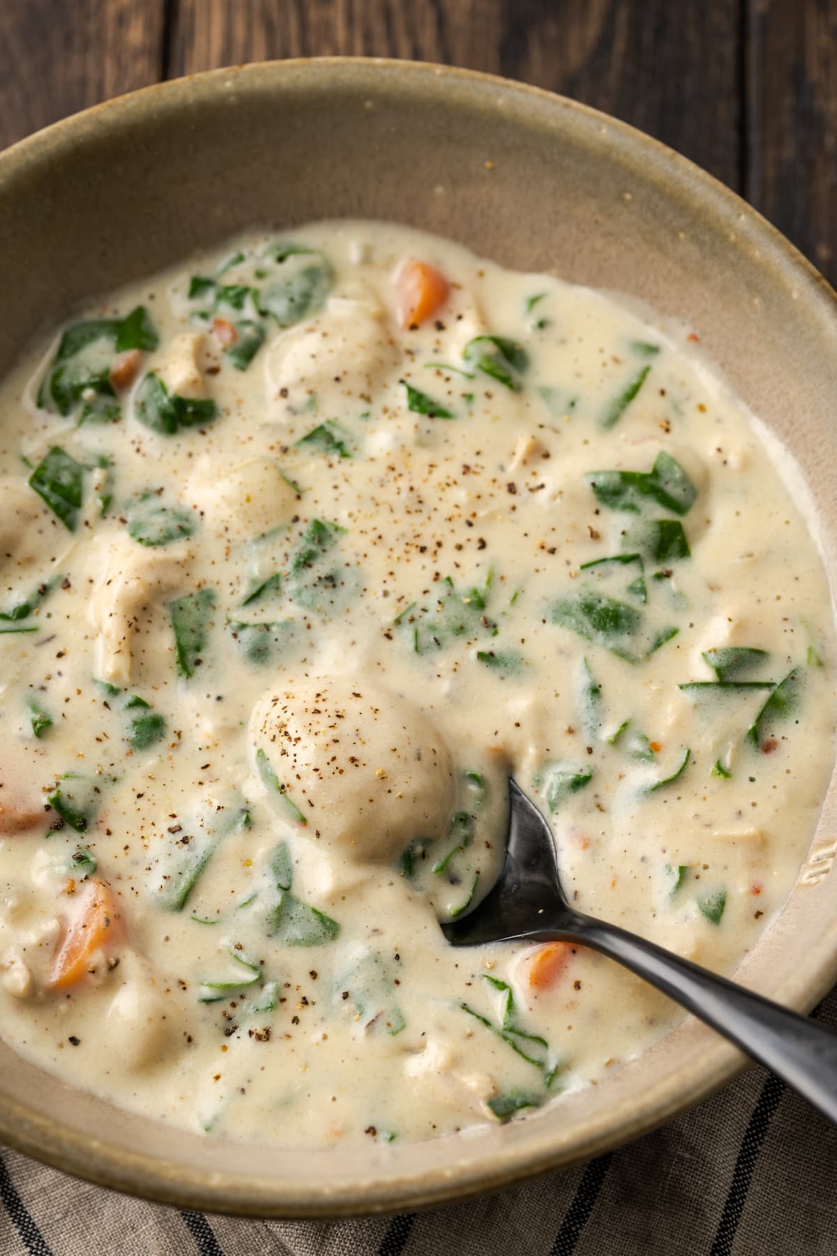 Overhead view of a spoon dipped into a bowl of chicken gnocchi soup.