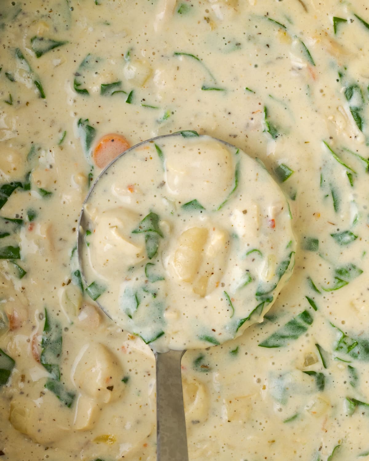 Overhead view of a ladle of chicken gnocchi soup held over a pot of soup.