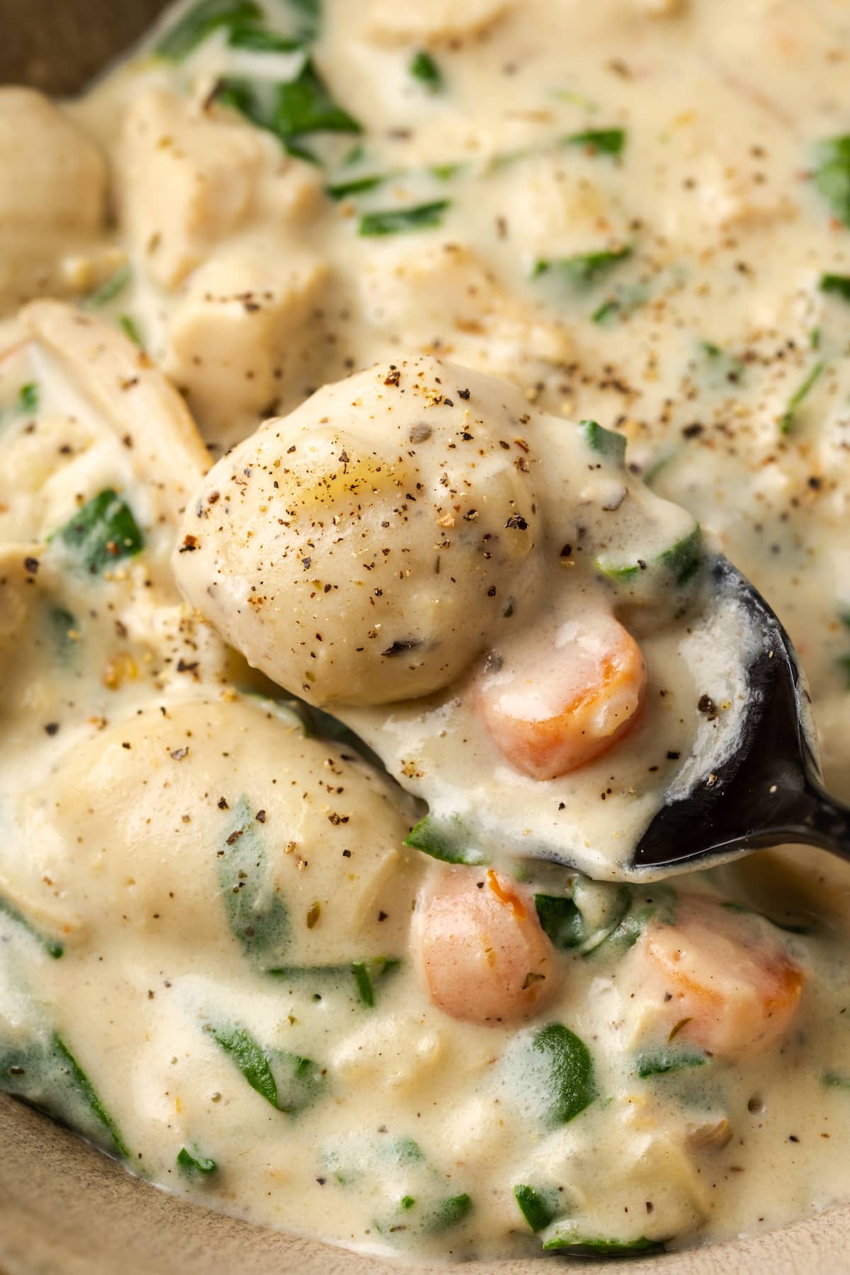 Closeup of a spoonful of chicken gnocchi soup held over the soup.