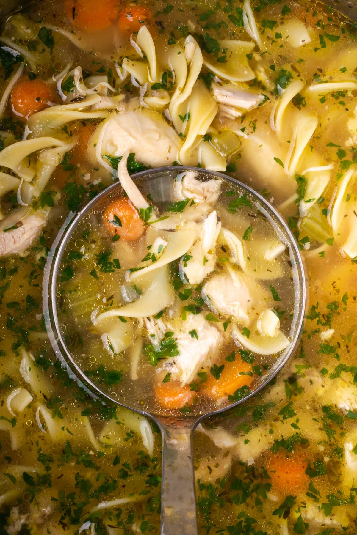 Close up overhead view of a ladle dipped into a pot of Instant Pot chicken noodle soup.
