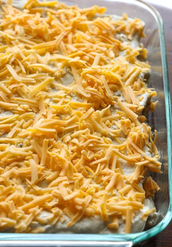 Top the enchiladas rolled in a casserole pan with grated cheese before putting them in the oven.