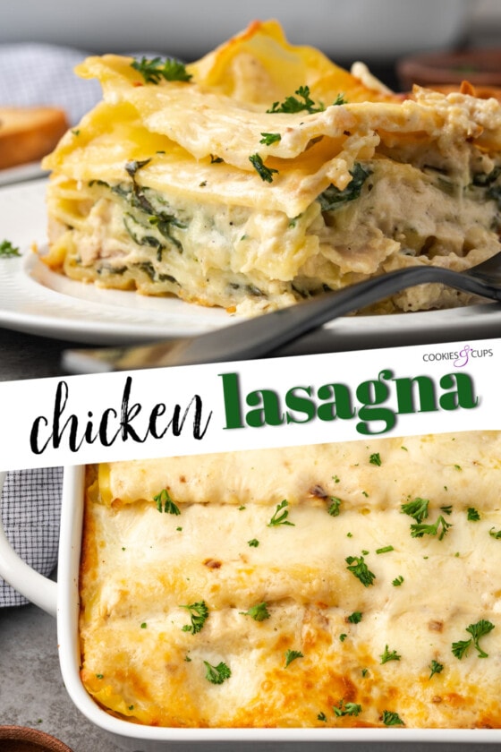 Creamy Chicken Lasagna | Cookies and Cups