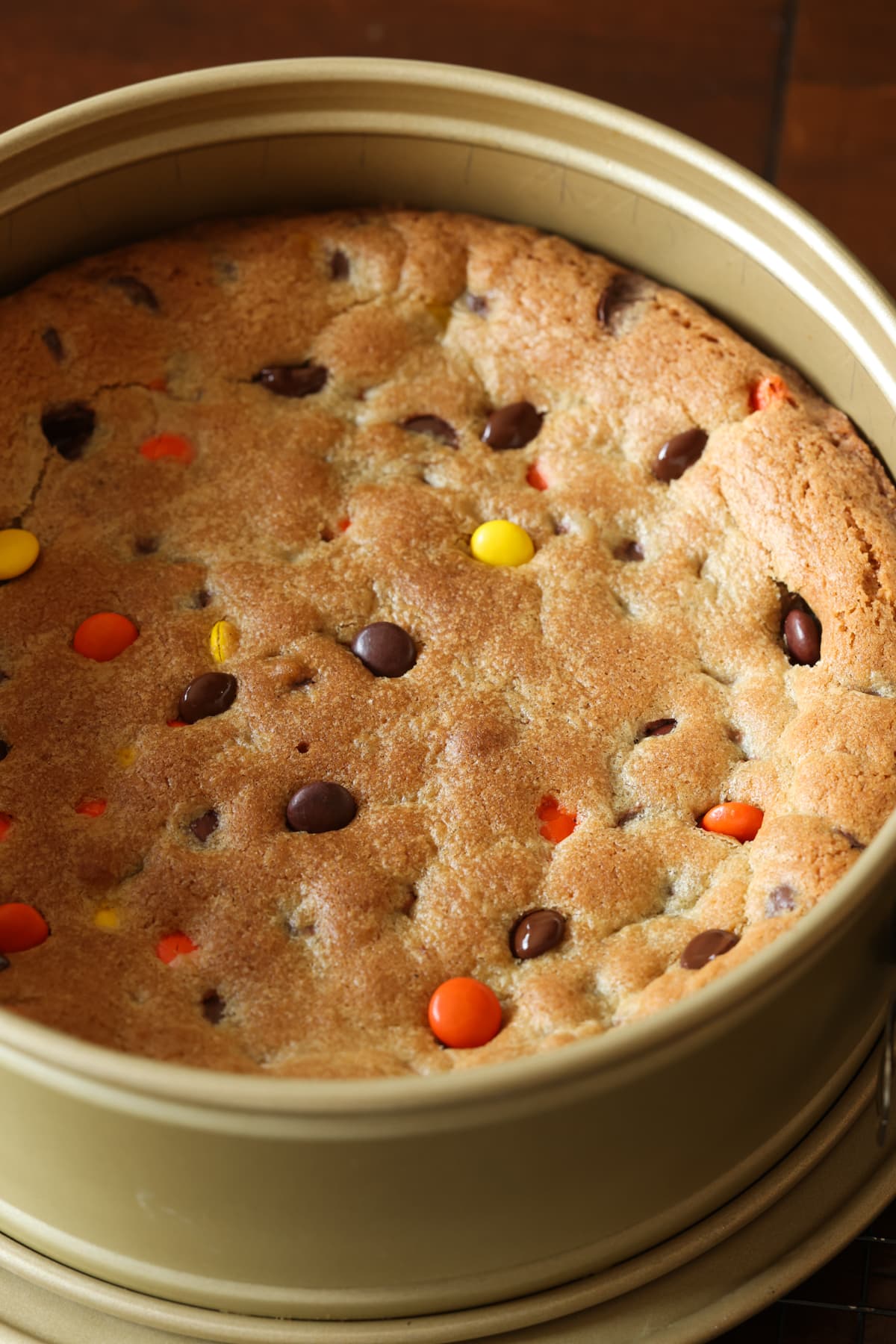 a cookie cake baked in a springform pan